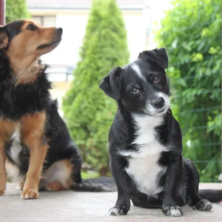 Hotel Veagles Narva-Jõesuu