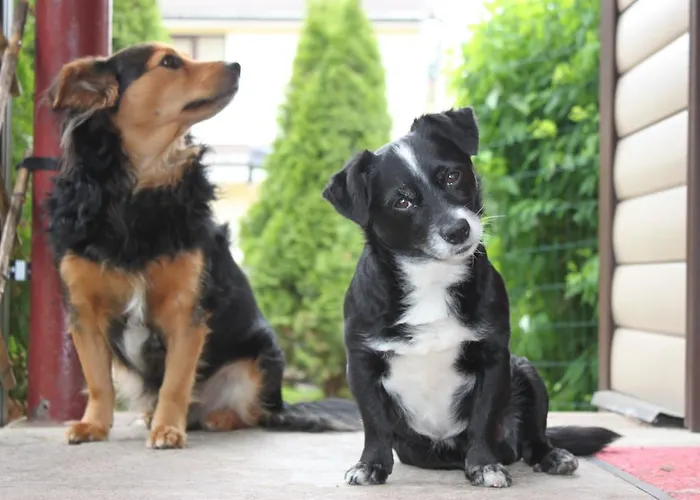 Hotel Veagles Narva-Jõesuu